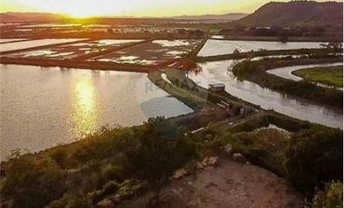 Venta de Camaronera de agua dulce  Tosagua- Manabi