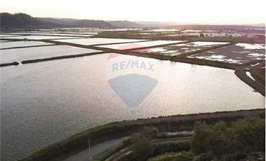 Venta de Camaronera de agua dulce  Tosagua- Manabi