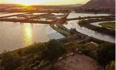 Venta de Camaronera de agua dulce  Tosagua- Manabi