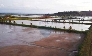 Venta de Camaronera de agua dulce  Tosagua- Manabi