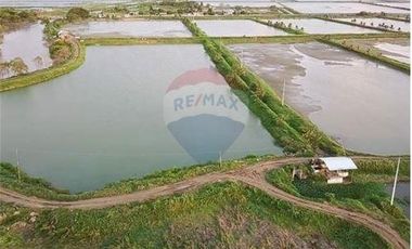 Venta de Camaronera de agua dulce  Tosagua- Manabi