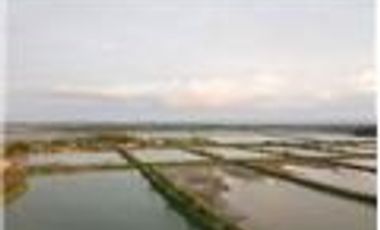 Venta de Camaronera de agua dulce  Tosagua- Manabi