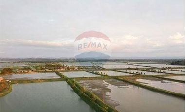 Venta de Camaronera de agua dulce  Tosagua- Manabi