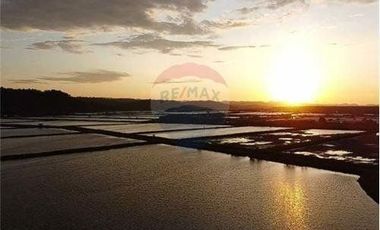 Venta de Camaronera de agua dulce  Tosagua- Manabi
