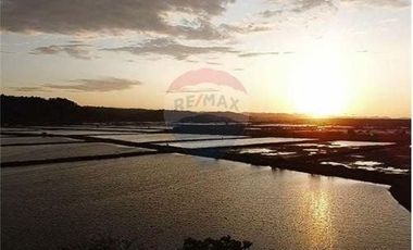 Venta de Camaronera de agua dulce  Tosagua- Manabi