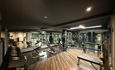 RENTA PH con Roof Garden privado en Polanco