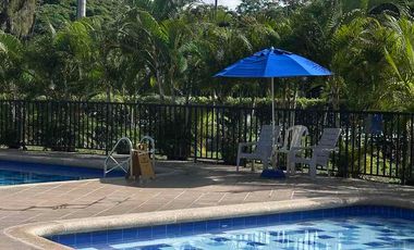 Alquiler de Apartamento