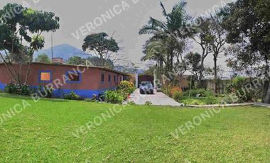 Terreno en Pachacamac  5,310 m2