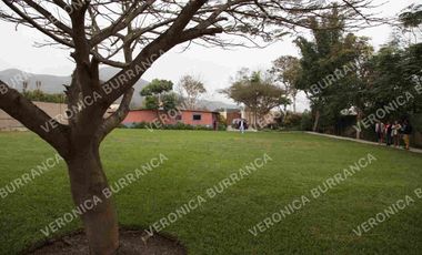 Terreno en Pachacamac  5,310 m2