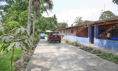 Terreno en Pachacamac  5,310 m2