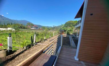 Disewakan Villa dan Guest House, Cozy dan Kekinian Dekat Dengan Semua Tempat Wisata Batu