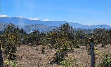 VENDO LOTES DE 637 M2 EN AMBATO- TUNGURAHUA,TOTORAS