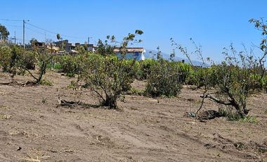 VENDO LOTES DE 637 M2 EN AMBATO- TUNGURAHUA,TOTORAS