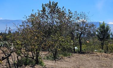 VENDO LOTES DE 637 M2 EN AMBATO- TUNGURAHUA,TOTORAS