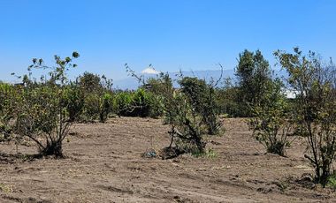 VENDO LOTES DE 637 M2 EN AMBATO- TUNGURAHUA,TOTORAS