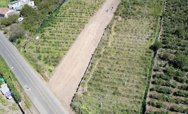 VENDO LOTES EN AMBATO-HUACHI GRANDE LA LIBERTAD