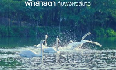 Condo for sale Swan Lake Residences Khao Yai Tel.099998----