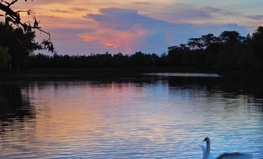 Condo for sale Swan Lake Residences Khao Yai Tel.099998----
