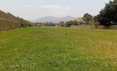 Venta de terreno en Pachacamac