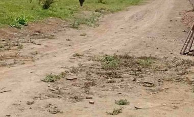 Venta de terreno en Pachacamac