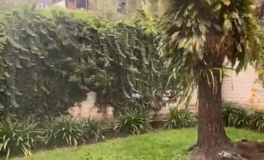 casa en venta súper amplia y en zona residencial y exclusiva san Sebastián las pencas