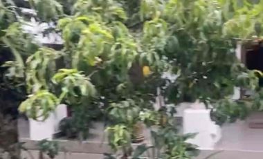 casa en venta súper amplia y en zona residencial y exclusiva san Sebastián las pencas