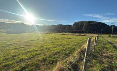 Se vende Proyecto de Parcelación “Praderas del Mirador”, Paillaco, Región de Los Ríos.