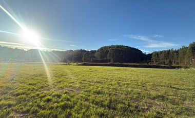 Se vende Proyecto de Parcelación “Praderas del Mirador”, Paillaco, Región de Los Ríos.