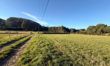 Se vende Proyecto de Parcelación “Praderas del Mirador”, Paillaco, Región de Los Ríos.