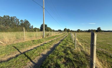 Se vende Proyecto de Parcelación “Praderas del Mirador”, Paillaco, Región de Los Ríos.