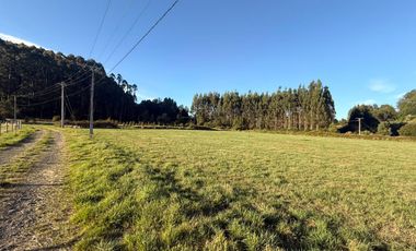 Se vende Proyecto de Parcelación “Praderas del Mirador”, Paillaco, Región de Los Ríos.