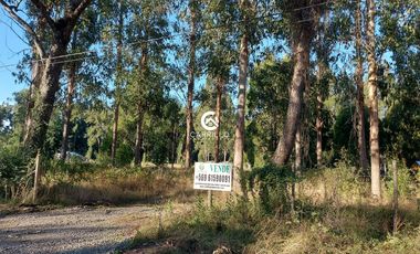VENDEMOS PARCELA SECTOR COIPUE