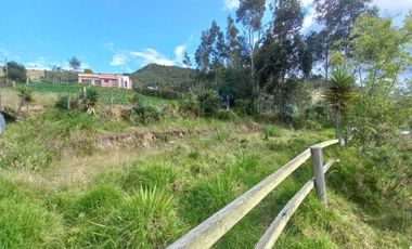 TERRENO EN VENTA IDEAL PARA GALPONES, BODEGAS O SIEMBRA EN PACCHA
