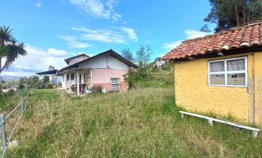 TERRENO EN VENTA IDEAL PARA GALPONES, BODEGAS O SIEMBRA EN PACCHA