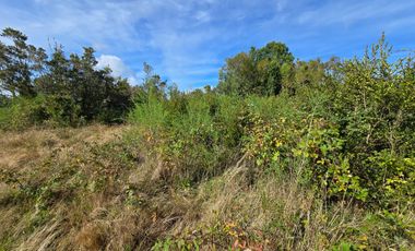 Parcela en Venta 5.000 m² – Sector San Javier, Valdivia