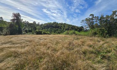 Parcela en Venta 5.000 m² – Sector San Javier, Valdivia