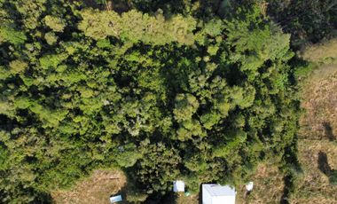 Parcela en Venta 5.000 m² – Sector San Javier, Valdivia