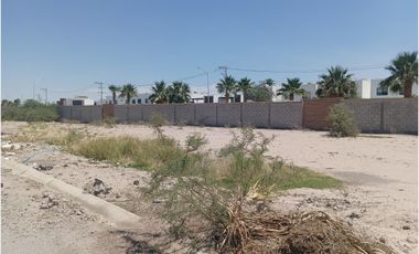 TERRENO EN VENTA VIÑEDOS TORREON COAHUILA