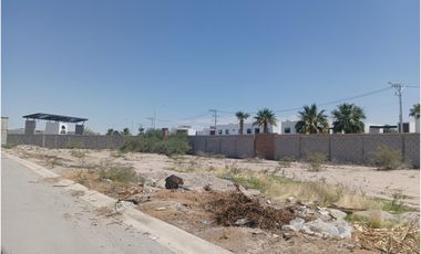 TERRENO EN VENTA VIÑEDOS TORREON COAHUILA