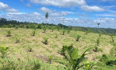 VENTA DE HACIENDA EN VIA A QUININDE