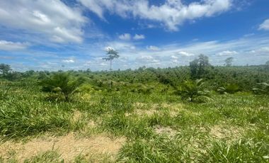 VENTA DE HACIENDA EN VIA A QUININDE