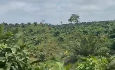 VENTA DE TERRENO EN HACIENDA MATAMBA