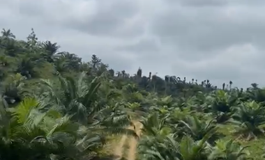 VENTA DE TERRENO EN HACIENDA MATAMBA