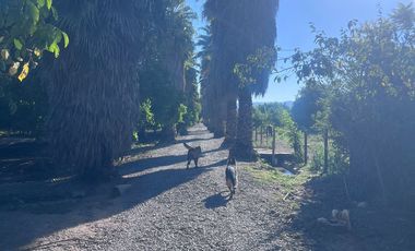 Condominio de Parcelas en Carmen Bajo – Melipilla