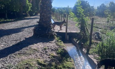 Condominio de Parcelas en Carmen Bajo – Melipilla