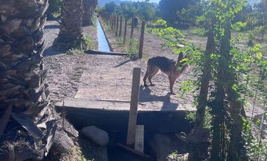 Condominio de Parcelas en Carmen Bajo – Melipilla