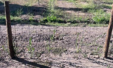 Condominio de Parcelas en Carmen Bajo – Melipilla