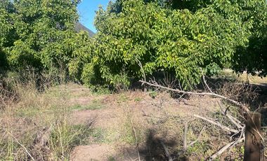 Condominio de Parcelas en Carmen Bajo – Melipilla