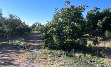 Condominio de Parcelas en Carmen Bajo – Melipilla