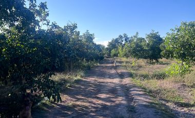 Condominio de Parcelas en Carmen Bajo – Melipilla